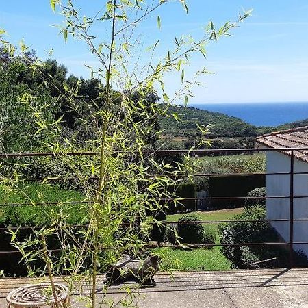 Estudio Vistas Al Mar Tamariu Y Bosques De Begur Exteriér fotografie